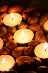 Nuts candles.
Hazelnuts, walnuts and pecan nuts with tea light candles.