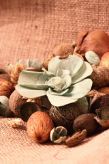 Pot pourri hessian.
Pot pourri on a hessian background.