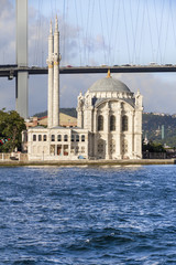 Sights of Istanbul ,a cruise on the Bosphorus - obrazy, fototapety, plakaty