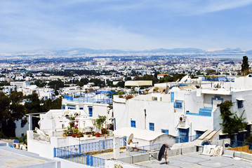 View of the city Sidi Bou Said © Inna_G