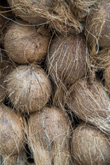 Coconuts on the market