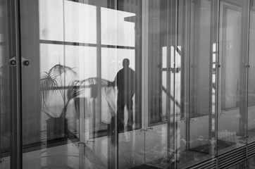 reflection in window