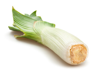 leek