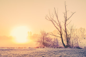 Sonnenaufgang im Winter, vintage