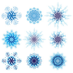 Fototapeta na wymiar snowflakes vector winter pattern circular ornament for design element