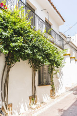 typical Andalusian streets and balconies with flowers in Marbell