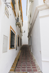 tourism, architecture and streets of white flowers in Marbella A