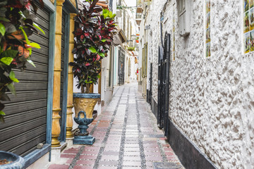 traditional Andalusian streets with flowers and white houses in