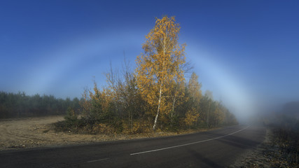 Fototapeta premium The Fogbow