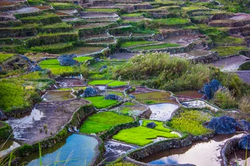 Fototapeten Reisfelder in Sagada © michaelreiss
