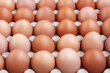 Chicken brown eggs in packing , the top view.