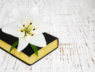 Obraz na płótnie Canvas easter lily and bible