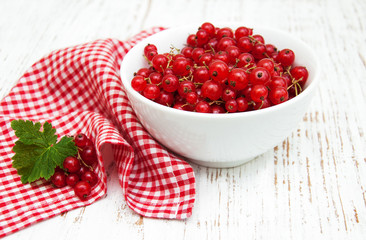 fresh red currant