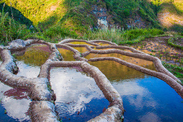 Reisfelder in Sagada