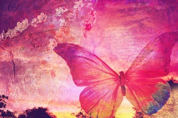 Wall murals Butterflies in Grunge Pink butterfly old postcard