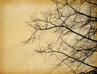 vintage  paper textures.  tree without leaves