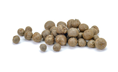 Air Potatoes bulbils, it's a vine fruits (Dioscorea bulbifera) containing the steroid diosgenin