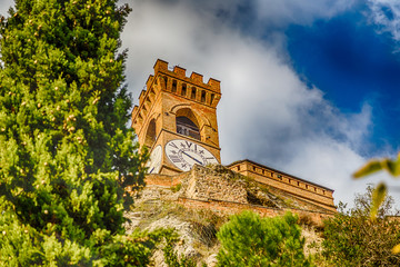 clock tower behind trees