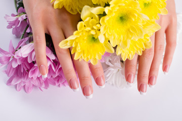 Female fingers among the bright chrysanthemums.