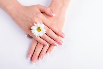 Manicure with a white chrysanthemum.