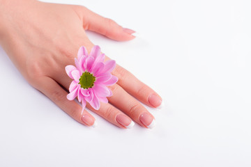 Obraz na płótnie Canvas French manicure and gentle pink flower.