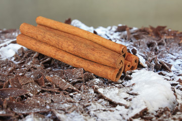 Bâtons de cannelle sur copeaux de chocolat et sucre glace
