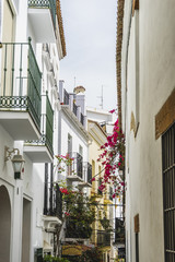 Fototapeta premium architecture and streets of white flowers in Marbella Andalucia