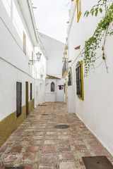 architecture and streets of white flowers in Marbella Andalucia