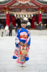 Fototapeta premium 七五三の女の子