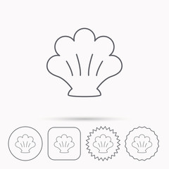 Sea shell icon. Seashell sign.