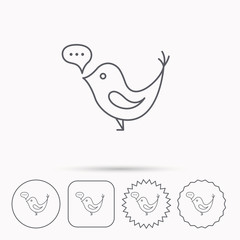 Fototapeta na wymiar Bird with speech bubble icon. Short messages.