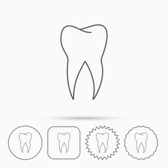 Tooth icon. Dental stomatology sign.