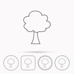 Tree icon. Forest wood sign.