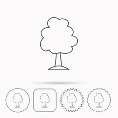 Tree icon. Forest wood sign.