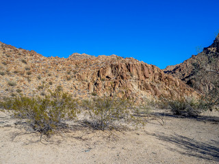 Landscape in Joshua Tree National Park, California, USA, where the Mojave and Colorado desert ecosystems meet.