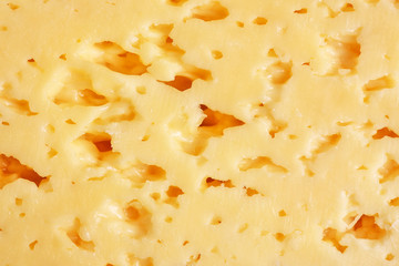 The texture of sour cheese slice close up. 