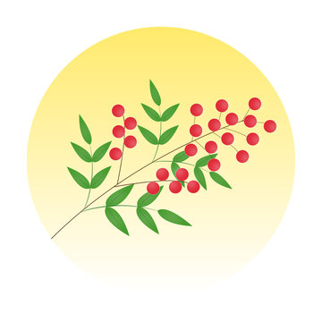 Maru1 Photos Images Assets Adobe Stock