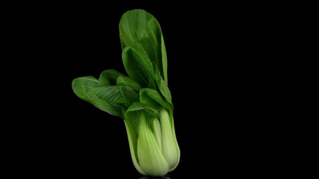 Pak choi on black background.