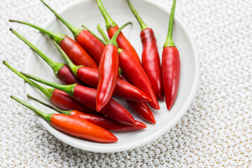 Chilli on white background