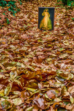 Merciful Jesus icon among fallen Autumn leaves