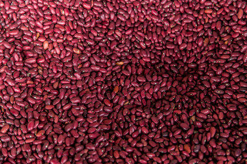 red beans, frijoles from Nicaragua