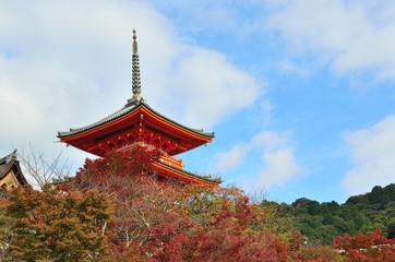 Fototapeta premium 京都 清水寺三重塔