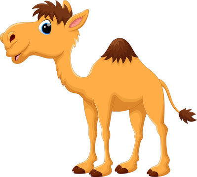 Illustration of cute camel cartoon