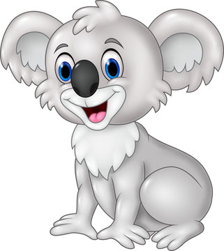 Cartoon funny koala sitting isolated on white background