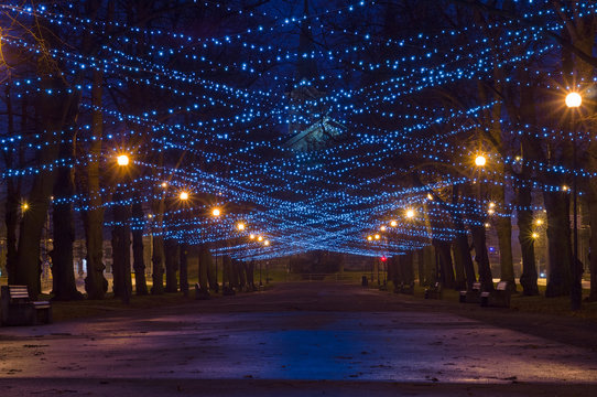 Fototapeta City boulevard decorated with New Year and Christmas illumination