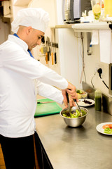 Male chef busy in giving final touch to recipe
