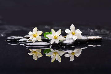 Fototapeta na wymiar Still life with three gardenia on black pebbles 