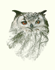 Double Exposure Portraits of Owl and Tree Branch