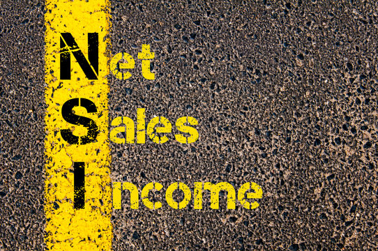 Business Acronym NSI Net Sales Income