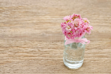 Beautiful tiny bouquet of pink kalanchoe blossfeldiana flowers
